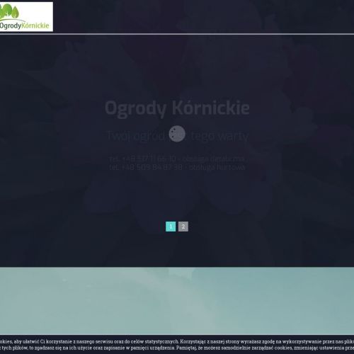 Tuje szmaragd - Poznań