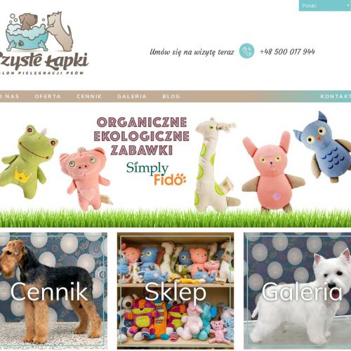 Strzyżenie psów wilanów w Warszawie