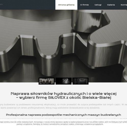 Katowice - naprawa podnośników hydraulicznych