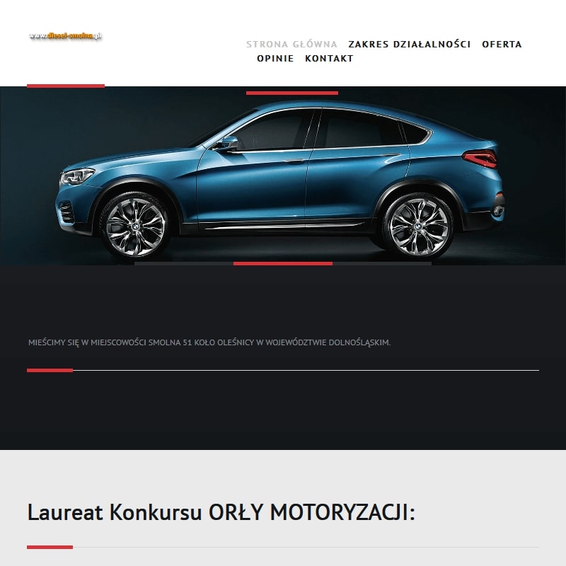 Naprawa pomp wtryskowych w Oleśnicy