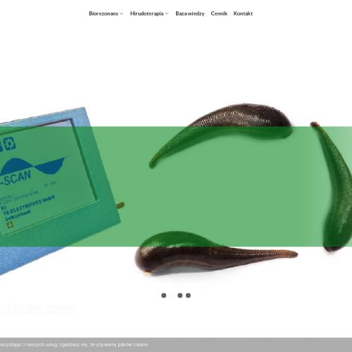 Siedlce - leczenie pijawkami