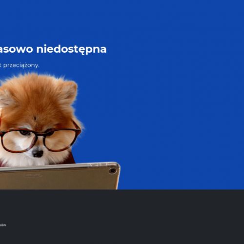 Dezynsekcja warszawa prusaki w Warszawie